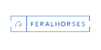 Feral Horses