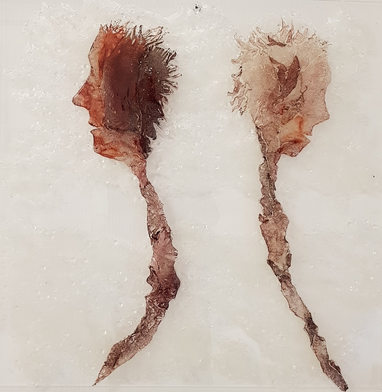 Indifferenza, gianni depaoli, mista su fibra, pelle e inchiostro di calamaro, resina, 70 x70 cm, anno 2019