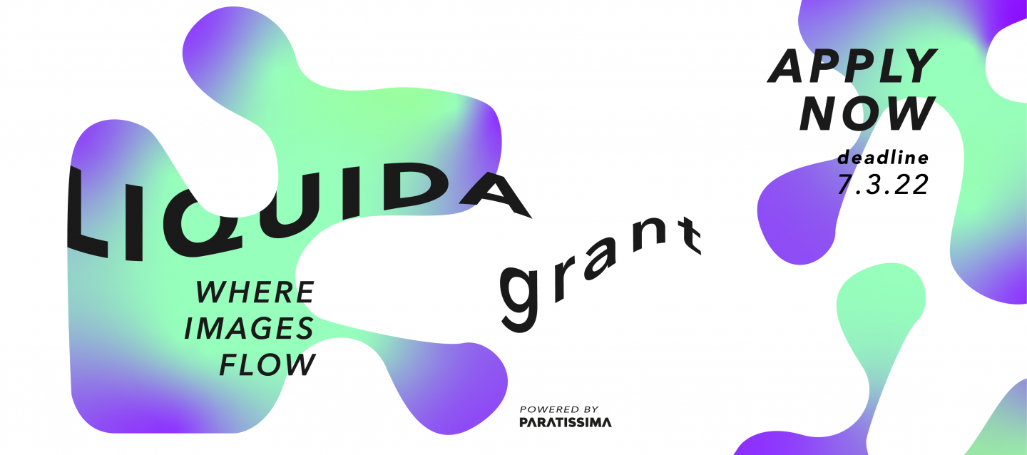 Liquida Grant web 2