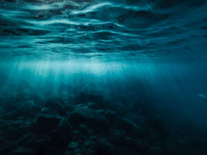 jMwSp_icW5b_1531_nicola_malnato_0