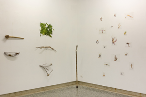 Vittoria Mazzonis_DRL+Totemico+Eurialine_
